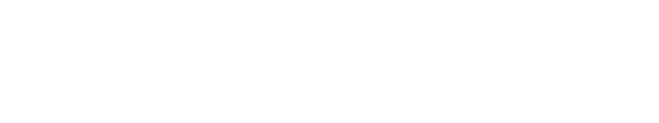 south-logo-white